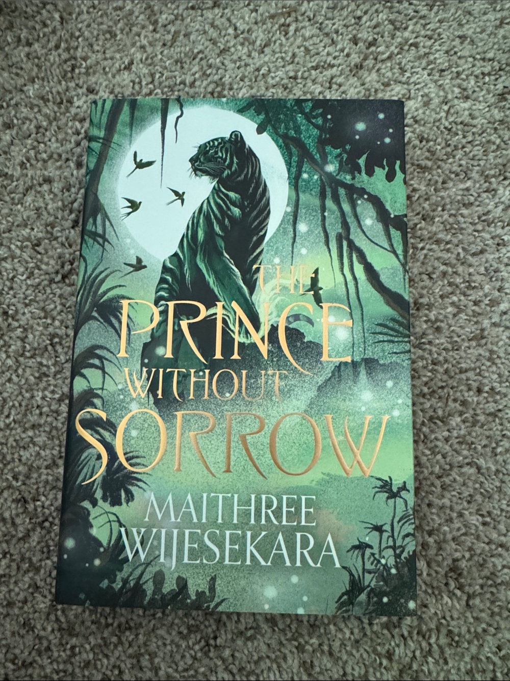 'The Prince Without Sorrow - Illumicrate Edition